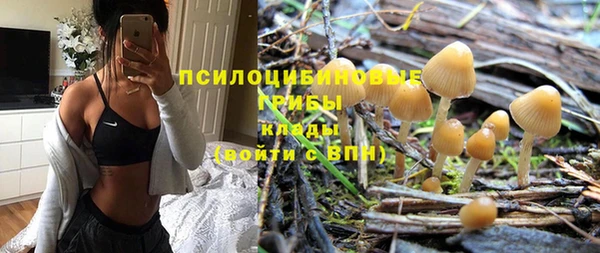 эйфоретик Богородицк