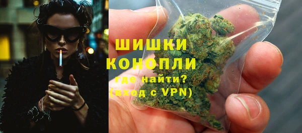 гидропоника Богданович
